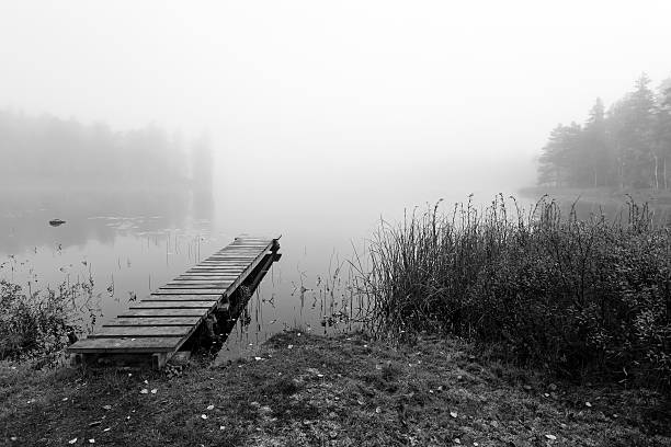 Autumn lake scenery in Southern Sweden in monochromatic view
