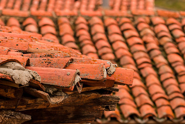 istock roofs of rural houses 524175943