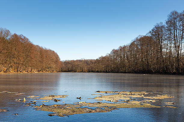 istock outdoor view of frozen 524176421