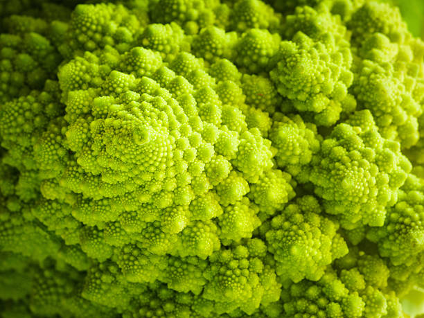 Romanesco Broccoli macro Macro image of the distinctive fractal shaped cones of a head of Romanesco Broccoli. fractal plant cabbage textured stock pictures, royalty-free photos & images