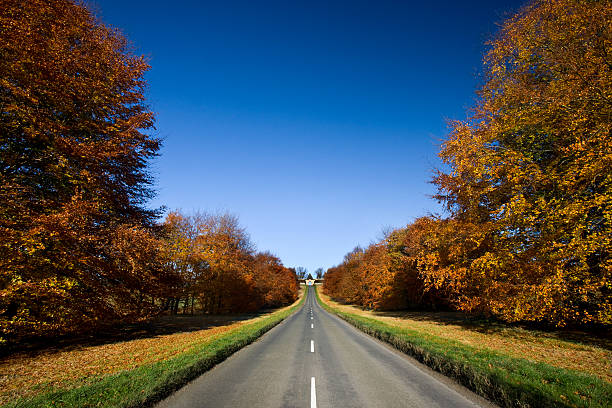 Country road in Autumn
