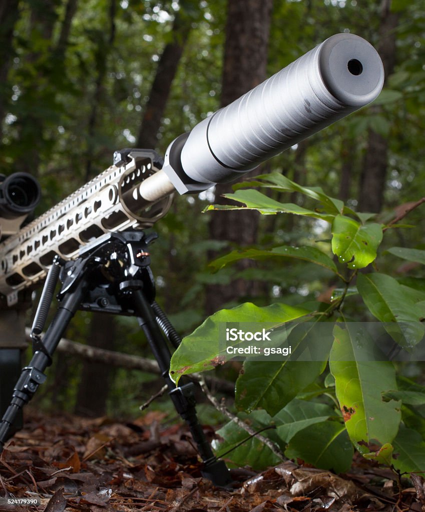 Suppressed fire Silencer on the end of a modern sportiong rifle in the forest Barrel Stock Photo