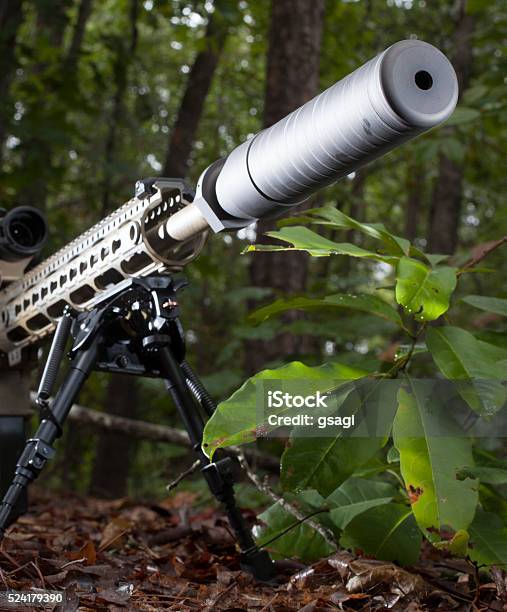 Suppressed Fire Stock Photo - Download Image Now - Barrel, Black Color, Branch - Plant Part