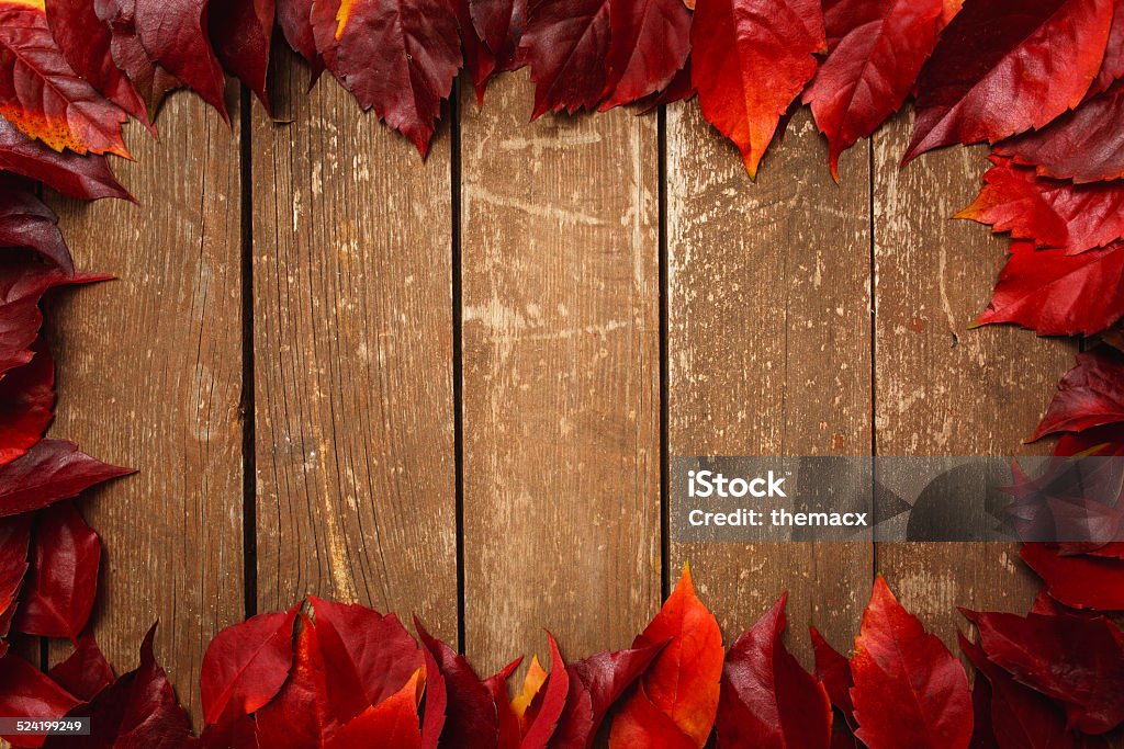 Autumn leaves on wooden background Autumn leaves on wooden background. Autumn Stock Photo