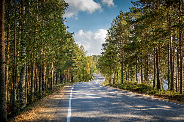 Road through northern forest Beautiful asphalt road through forest with lakes on both sides. etela savo finland stock pictures, royalty-free photos & images