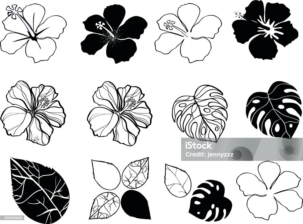 Black and white flowers of hibiscus Black and white flowers of hibiscus isolated on white vector illustration eps10 Black And White stock vector