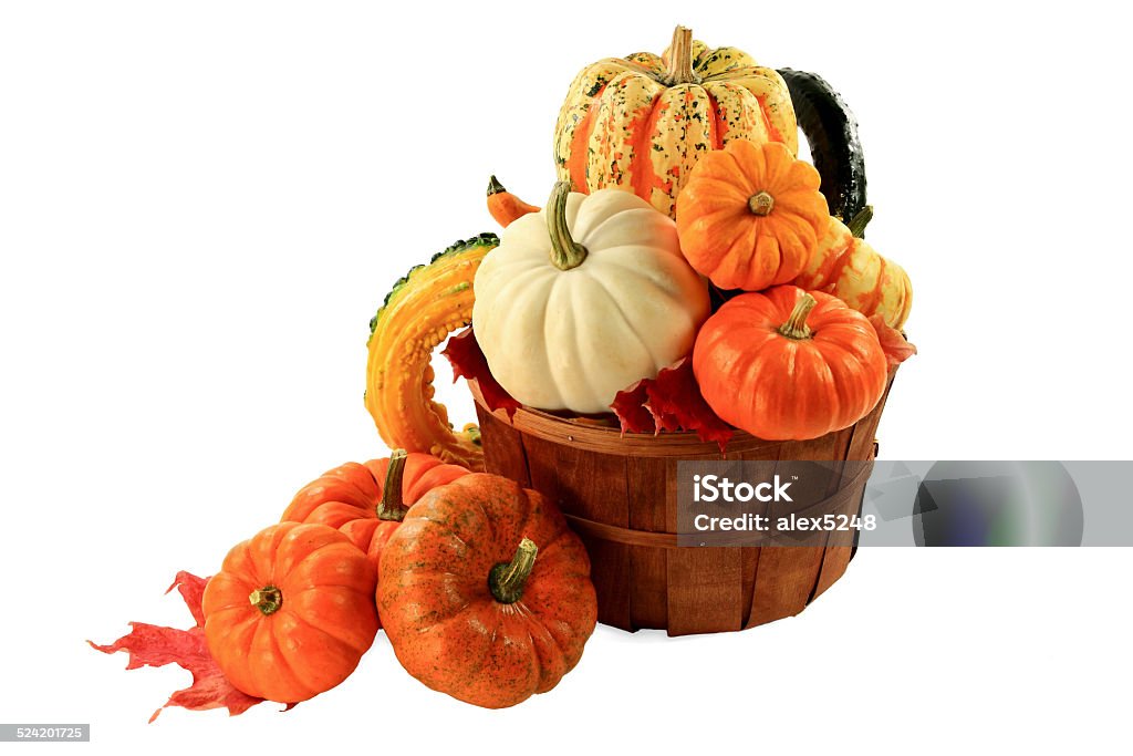 Pumpkins and squashes Fall arrangement Different sorts and colours Mini Pumpkins and Squashes in wooden basket bushel and spilled out, a Fall harvest arrangement decorated with red dry leaves, over white background. Autumn Stock Photo