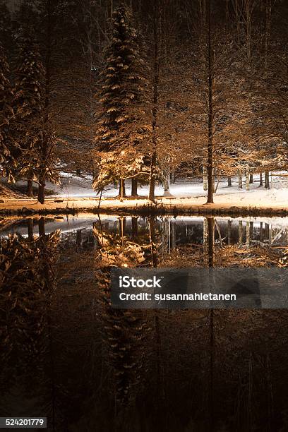 Winter Evening By A Pond In A Park Stock Photo - Download Image Now - Cold Temperature, Dark, Nature