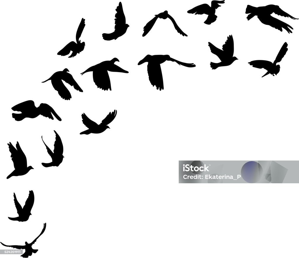 Doves and pigeons set for peace concept and wedding design. Doves and pigeons set for peace concept and wedding design. Vector illustration Birds Flying in V-Formation stock vector