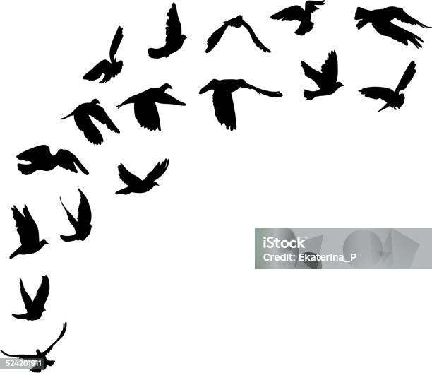 Doves And Pigeons Set For Peace Concept And Wedding Design Stock Illustration - Download Image Now