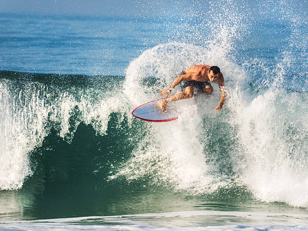 Topper Wave Riding 900+ Riding A Wave Photos Stock Photos, Pictures & Royalty-Free Images ...