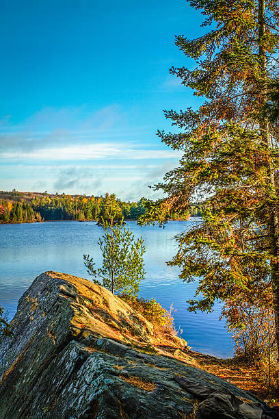Dramatic Lake Wilderness Dramatic rocks and pines at Tom Thomson Lake in Algonquin Park, Ontario, Canada northern ontario stock pictures, royalty-free photos & images