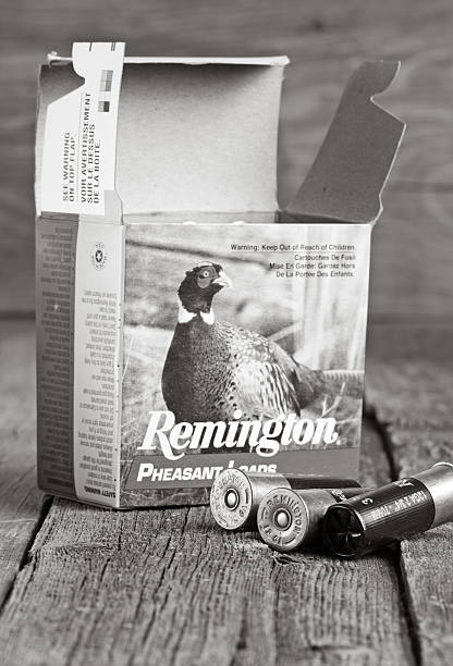 remington proiettili fucile da caccia - remington products foto e immagini stock
