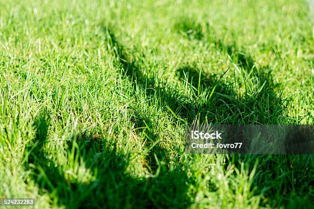 Shadow Stock Photo - Download Image Now - Abstract, Activity, Adult