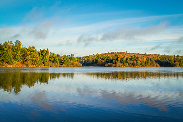 Autumn Trees On a Clear Lake Autumn in Algonquin Park, Ontario, Canada. Tom Thomson Lake.  northern ontario stock pictures, royalty-free photos & images