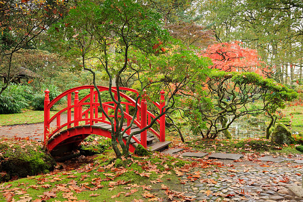istock public Japanese Garden in The Hague 524259585