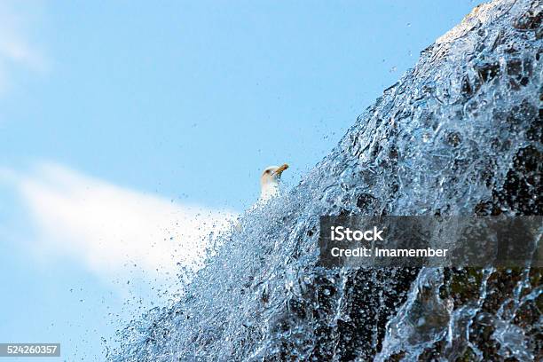 Waterfall And Seagull Against Blue Sky Copy Space Stock Photo - Download Image Now - Absence, Abstract, Activity