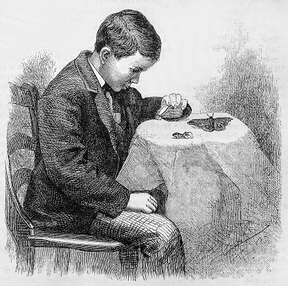 A young man uses a single lens to examine a spider and butterfly in this 19th century illustration from a February 1876   issue of Harper's New Monthly  Magazine