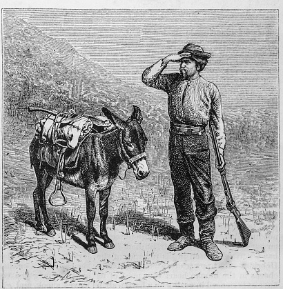 19th century illustration of  a prospector with his rifle and trusty donkey shielding his eyes from the sun as he looks for a place to stake his claim. From a  May 1876 copy of Harper's New Monthly Magazine.