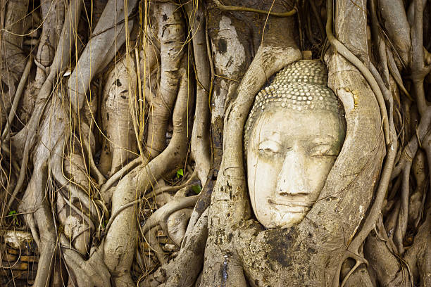istock Head of Sandstone Buddha 524263819