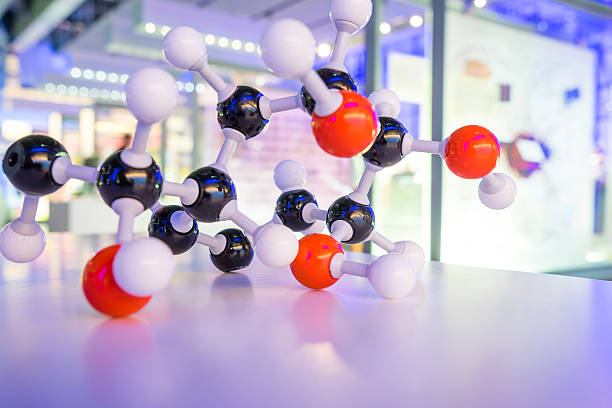 10,000+ Free Musee Science & Science Images - Pixabay