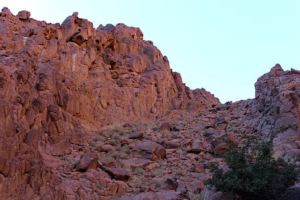 istock Grass and Shrubs in Mount Sinai 524285271