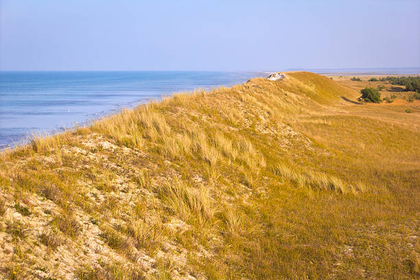 Sand dune with European beachgrass on the beach of Darss. The east coast of the peninsula Fischland-Darss-Zingst is one of only a few areas in Germany that was not changed in their natural structure. There you can have pure nature at every time of the year. This beach is part of the national park Vorpommersche Boddenlandschaft.