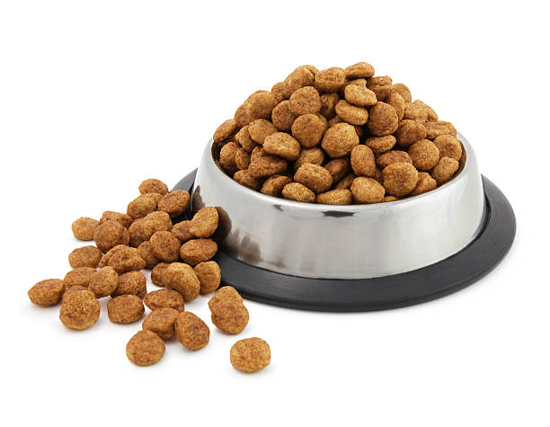 istock Overflowing dog food bowl 524286525