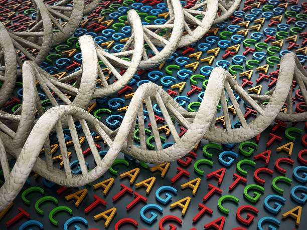 Genetic code DNA strands on unaligned genome sequence. genetic screening stock pictures, royalty-free photos & images