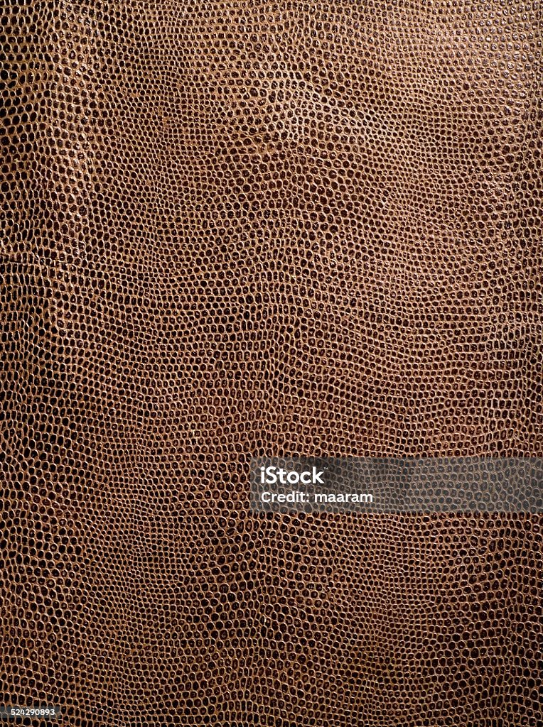 crocodile leather texture Leather Stock Photo