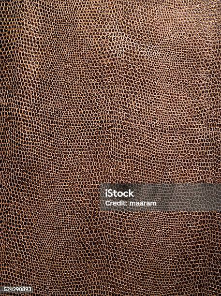 Crocodile Leather Texture Stock Photo - Download Image Now - Leather, Red, Textured
