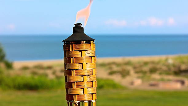 istock Tiki Torch along lakefront on a summer late afternoon 524291091