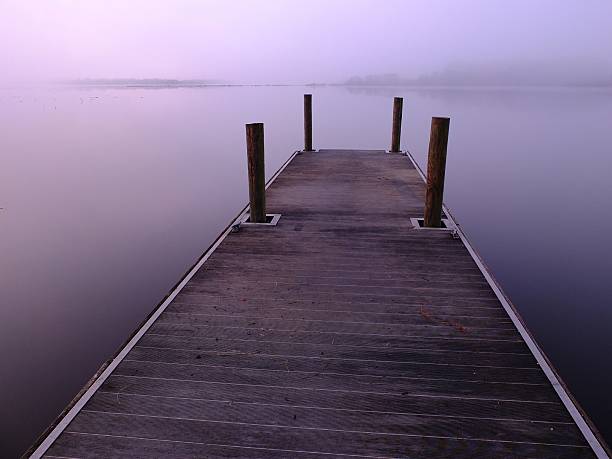 Foggy Morning stock photo