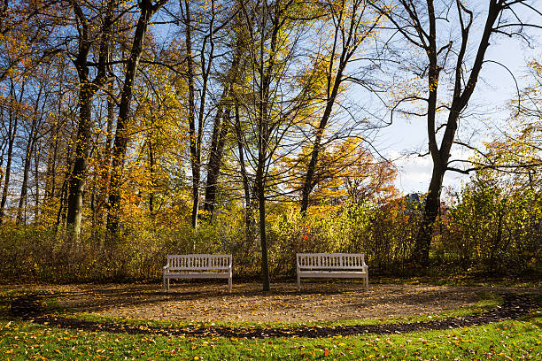 istock Wooden benches in the park 524298455