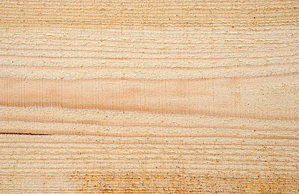 Texture of freshly sawn wood, background, closeup