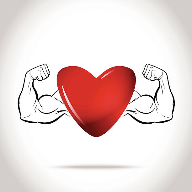 Healthy and strong heart vector art illustration