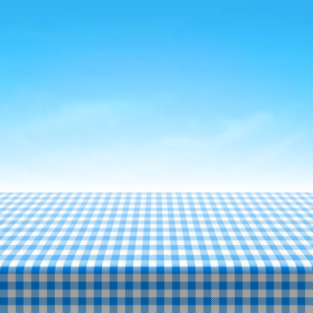 пустой пикник стол с скатерть покрытием голубой в клетку - checked blue tablecloth plaid stock illustrations