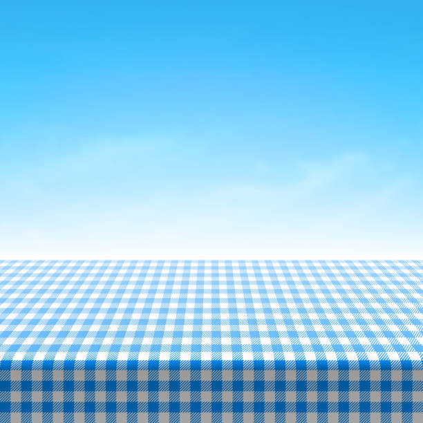Empty picnic table covered with blue checkered tablecloth Vector illustration with transparent effect. Eps10. tablecloth illustrations stock illustrations