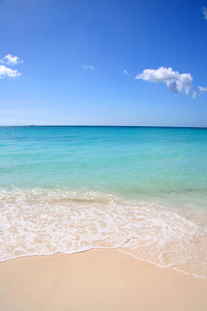 istock Beautiful white sand beach with turquoise sea & sky, Aruba 524300849