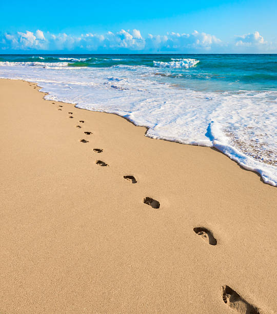 istock footprints sand surf tropical beach, Kauai, Polihale, Hawaii, Pacific Ocean 524326537