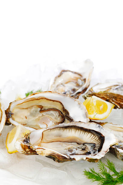 istock Oysters with lemon and dill 524326779