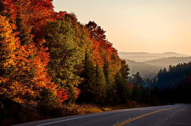 istock Autumn Colors and road 524327595