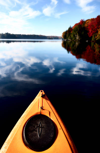 istock Lake in Autumn 524328219