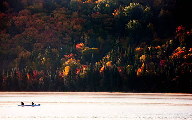 istock Lake in Autumn 524328229