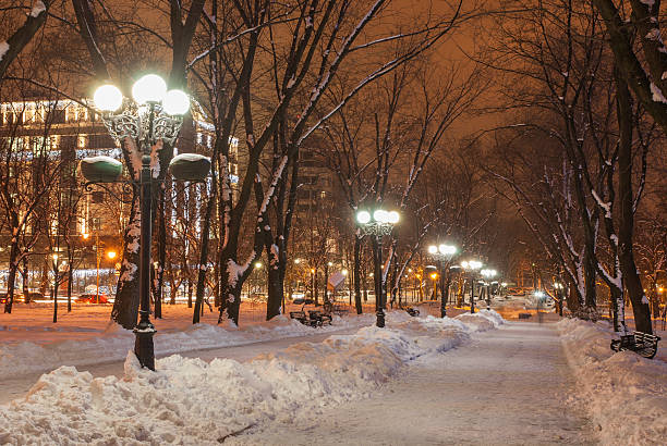 istock decorated winter city park 524328375