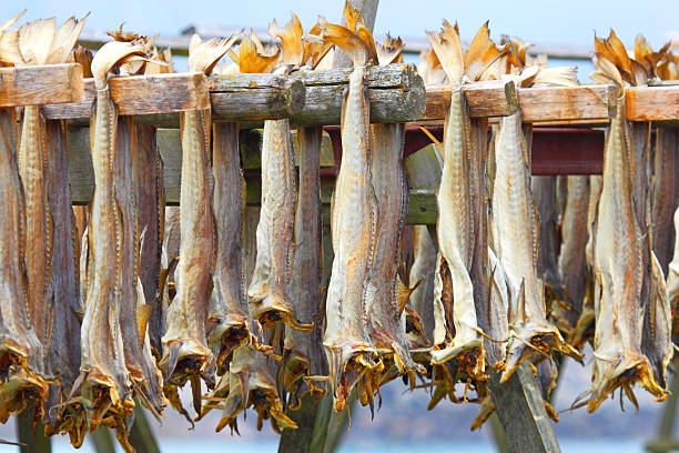 istock Cod stockfish.Industrial fishing in Norway 524328687