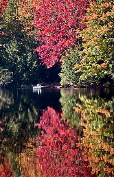 istock Lake in Autumn 524328843