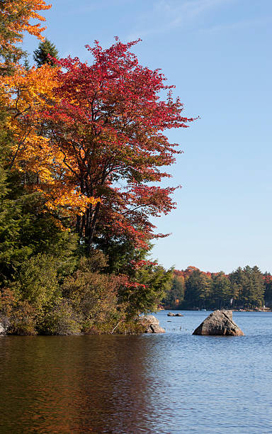 istock Lake in Autumn 524328847