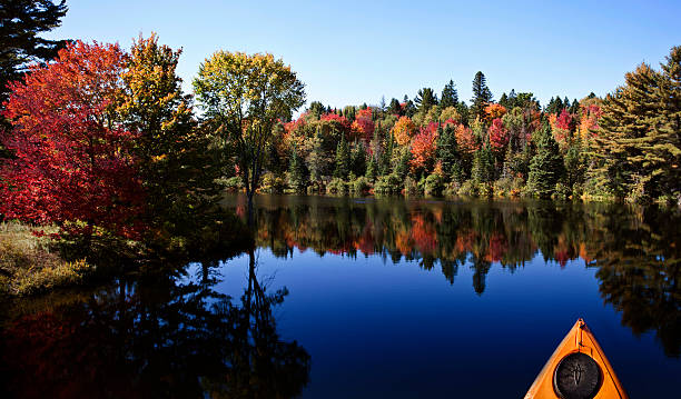 istock Lake in Autumn 524329333