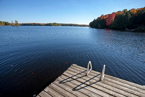 istock Lake in Autumn 524329335